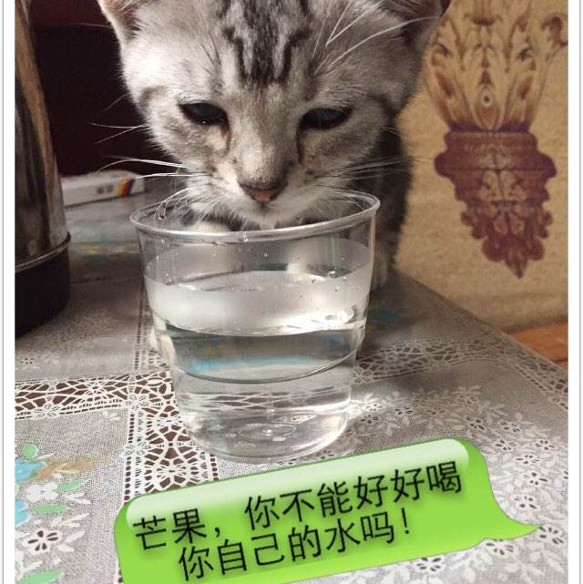 俄亥俄州多米尼加大学硕士毕业证